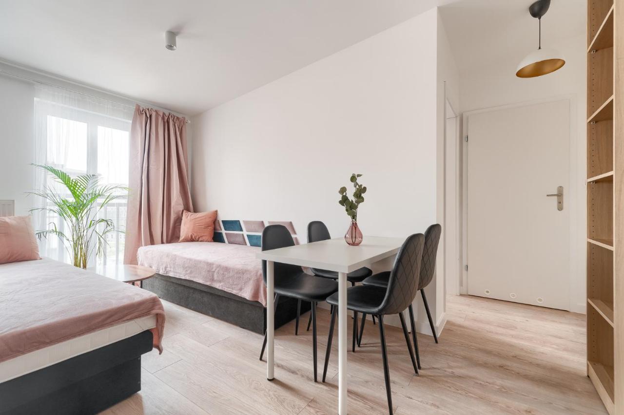 Kamienica Centrum Apartament 16 شتشيتسين المظهر الخارجي الصورة