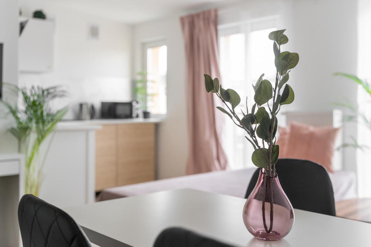 Kamienica Centrum Apartament 16 شتشيتسين المظهر الخارجي الصورة