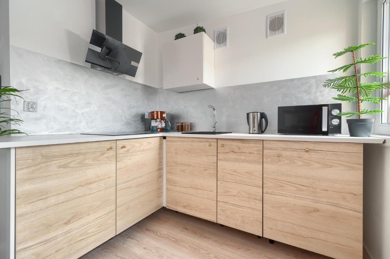 Kamienica Centrum Apartament 16 شتشيتسين المظهر الخارجي الصورة