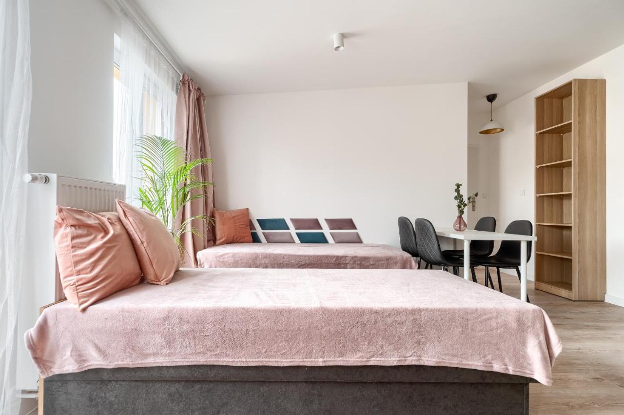 Kamienica Centrum Apartament 16 شتشيتسين المظهر الخارجي الصورة